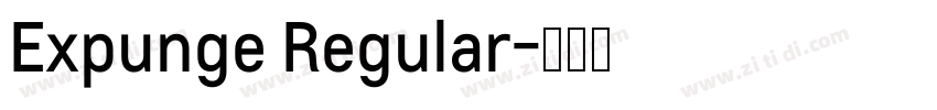 Expunge Regular字体转换